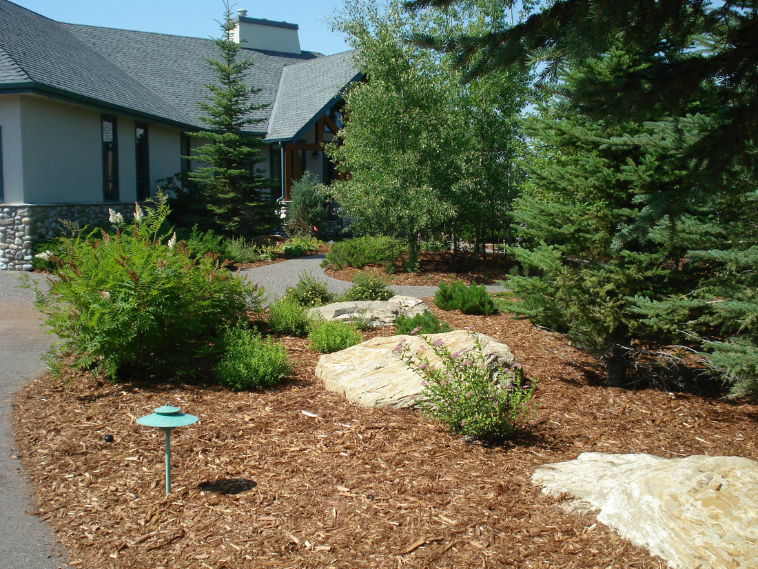 Is Cedar Mulch the Right Choice? Exploring the Benefits and Drawbacks