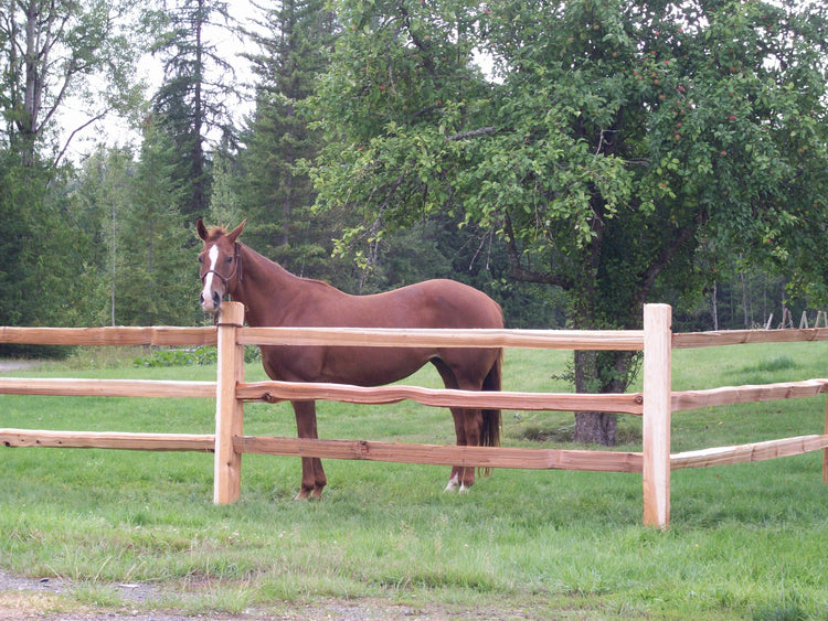 Pure Country Split Rail Cedar Fencing and Dimensional Lumber